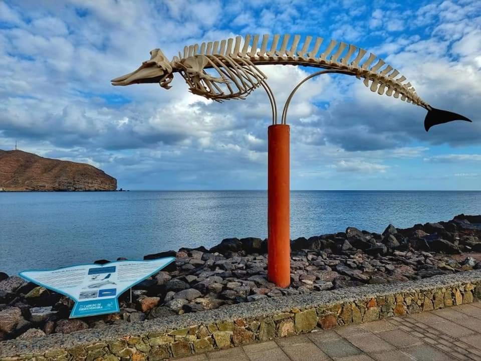 Casa Del Mar Air-Conditioned Apartment With Swimming Pools - Corralejo Playa Номер фото